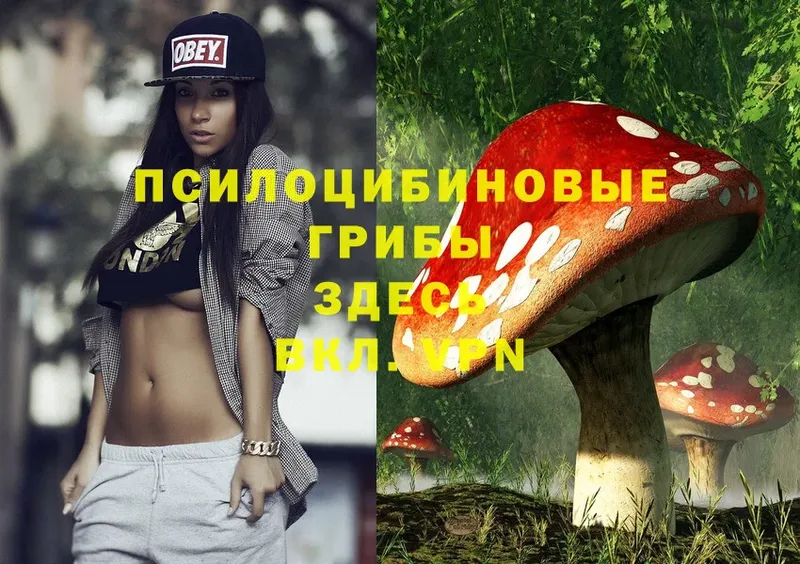 Галлюциногенные грибы Cubensis  Уфа 